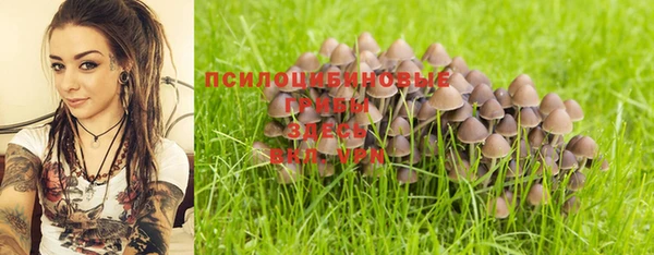 спиды Алзамай