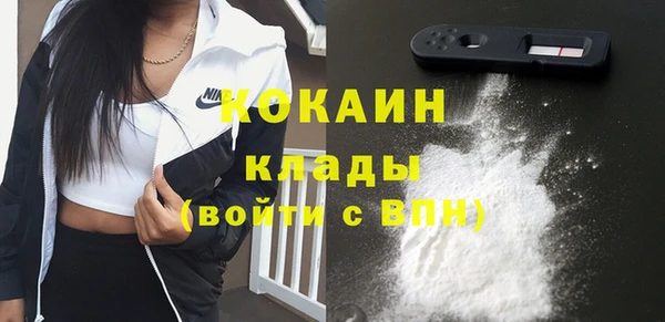 спиды Алзамай
